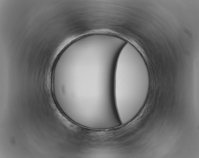 X0000112431054200908141107