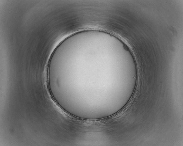 X0000112431056200908141107