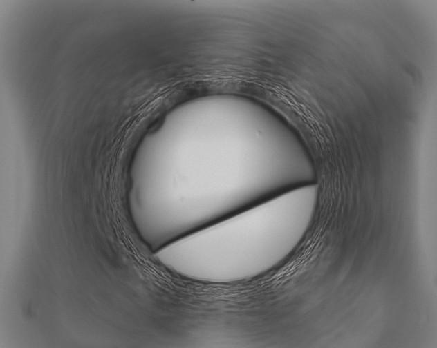 X0000112431057200908141106