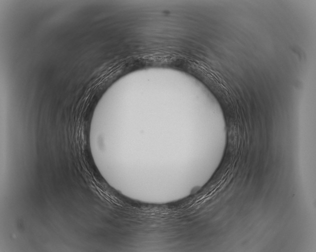 X0000112431058200908141106