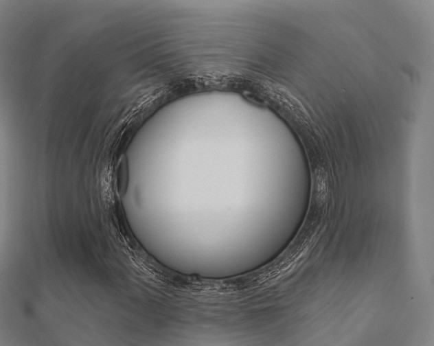 X0000112431060200908141106