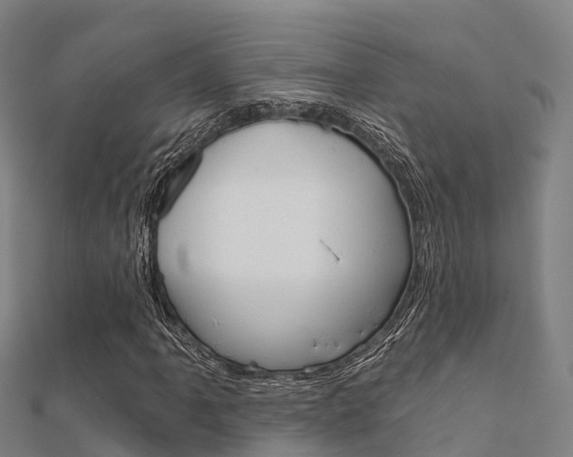 X0000112431061200908141106