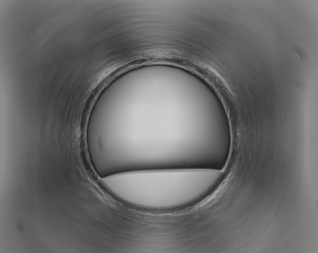 X0000112431065200908141106