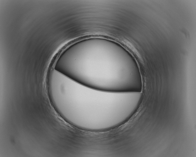 X0000112431068200908141106