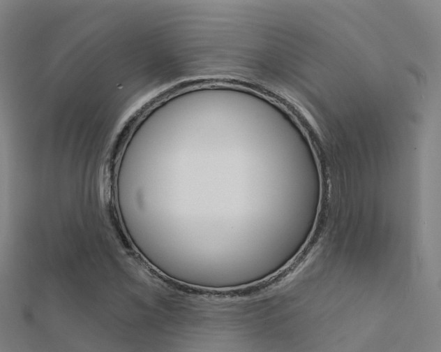 X0000112431069200908141106