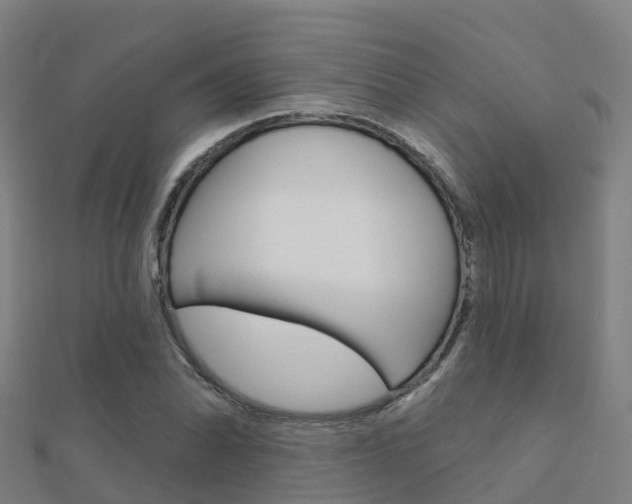 X0000112431070200908141106