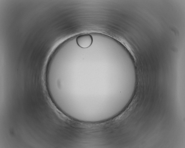 X0000112431072200908141106