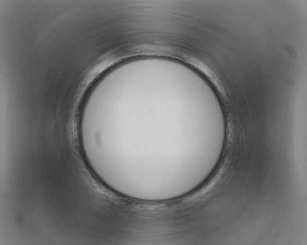 X0000112431074200908141106