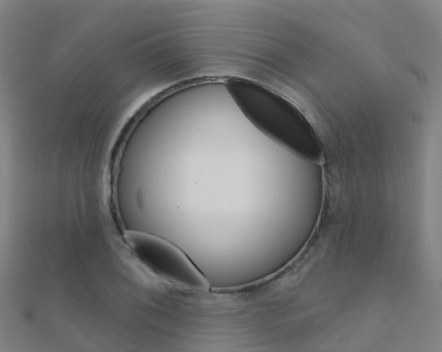 X0000112431076200908141106