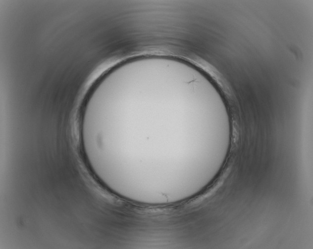 X0000112431078200908141106