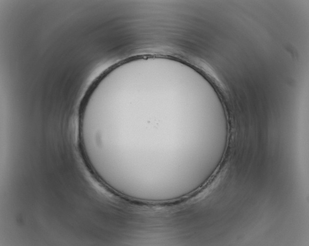 X0000112431079200908141106