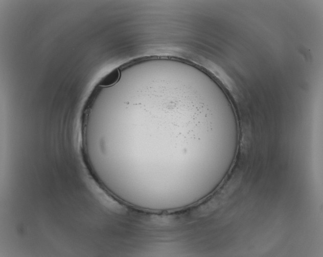 X0000112431080200908141106