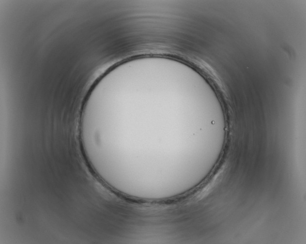 X0000112431081200908141106