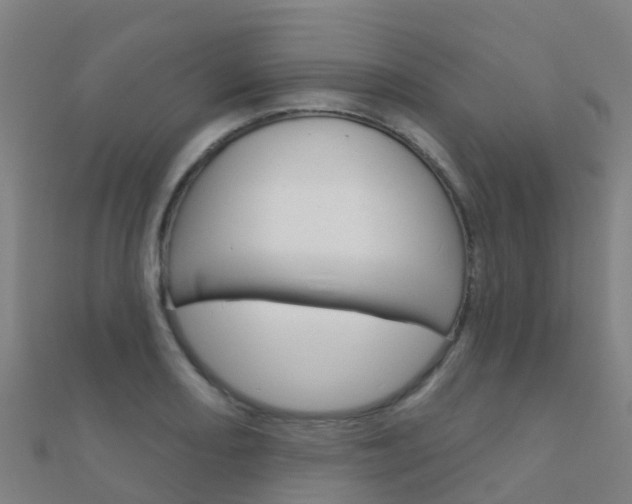 X0000112431082200908141106