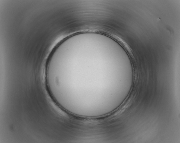 X0000112431083200908141106