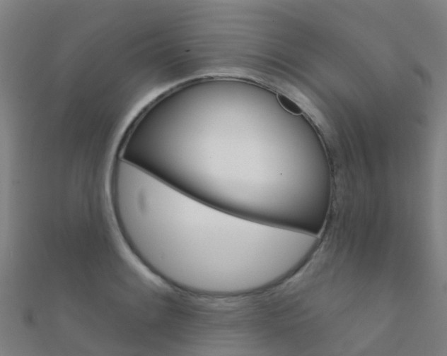 X0000112431084200908141106