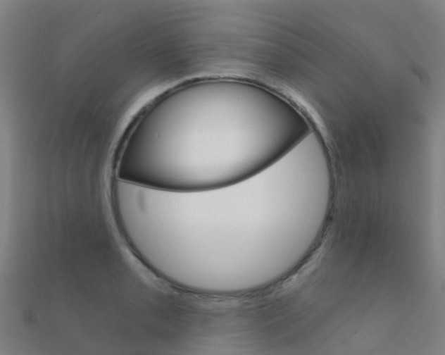 X0000112431085200908141106