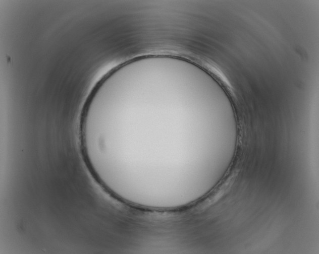 X0000112431087200908141106