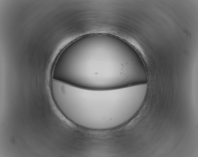 X0000112431088200908141106