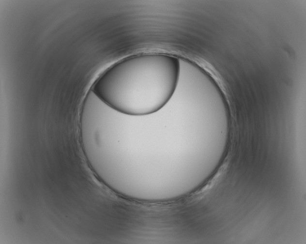 X0000112431089200908141106
