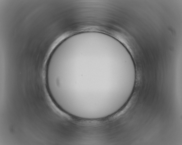 X0000112431090200908141106