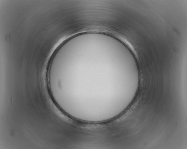 X0000112431091200908141106