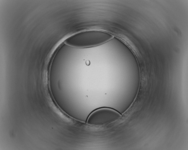 X0000112431092200908141106