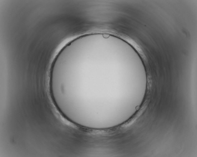 X0000112431094200908141106