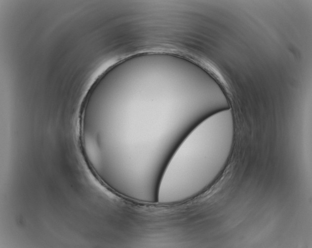 X0000112431095200908141106