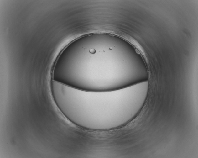 X0000112431096200908141106