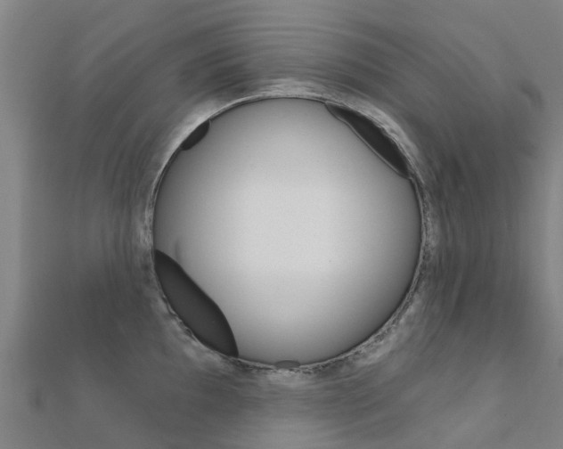 X0000112431097200908141106