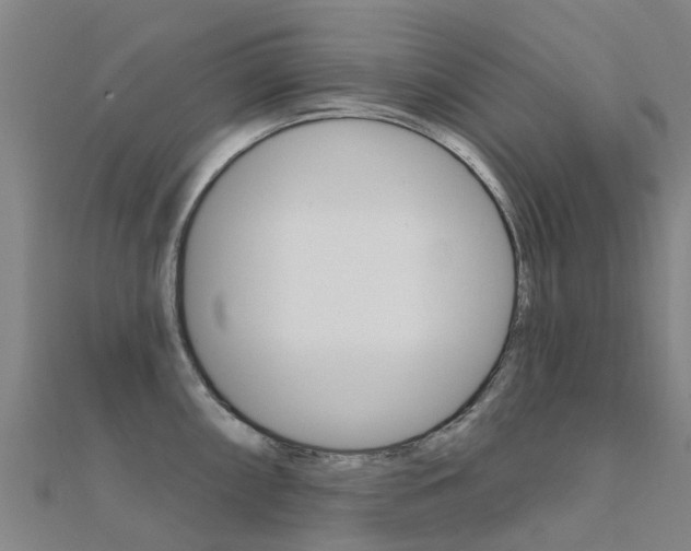 X0000112431098200908141106