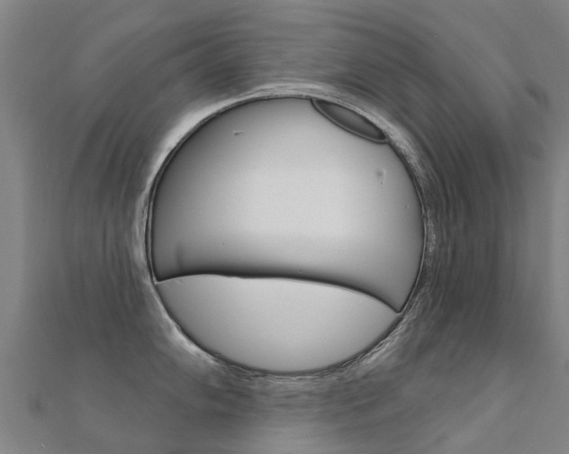 X0000112431102200908141106