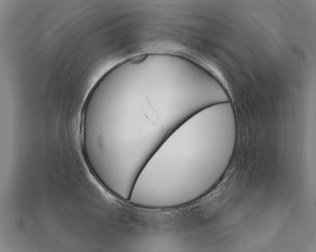 X0000112431103200908141106