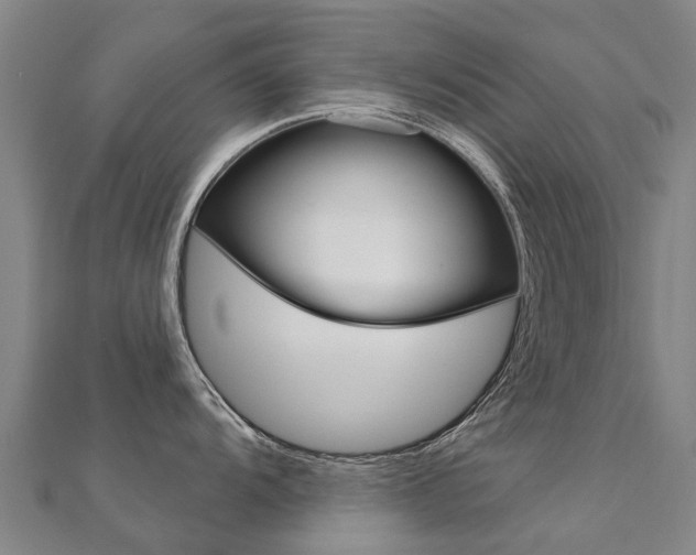 X0000112431104200908141106