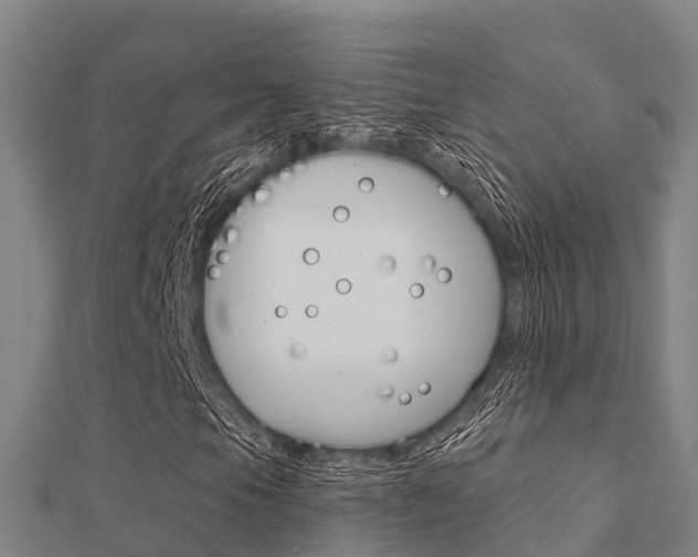 X0000112431105200908141105
