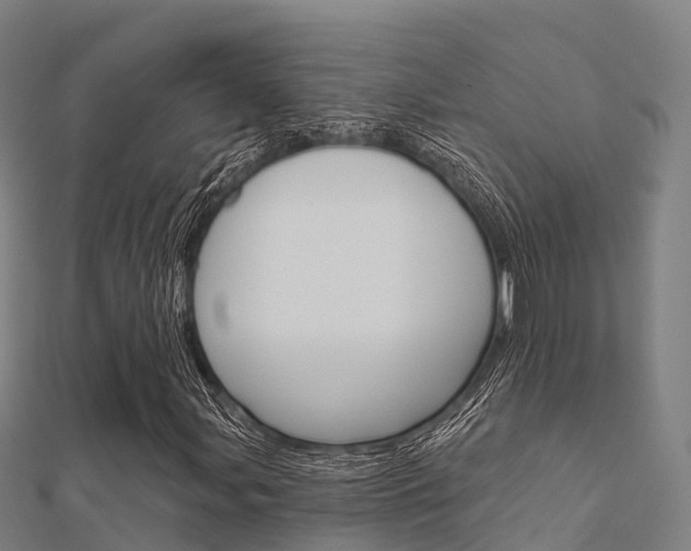 X0000112431107200908141105