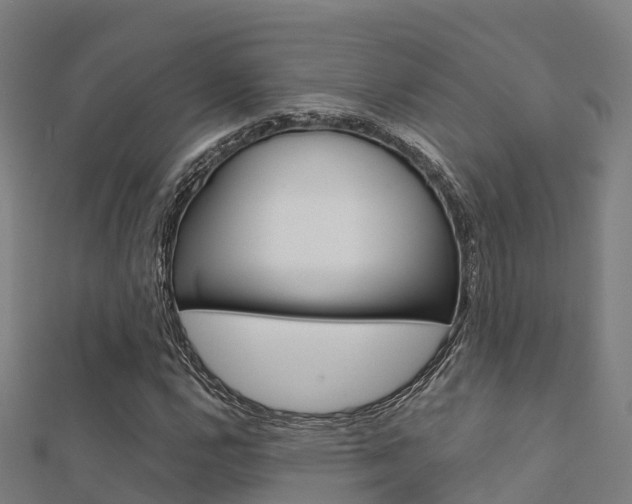 X0000112431112200908141105
