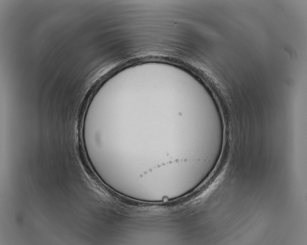 X0000112431113200908141105