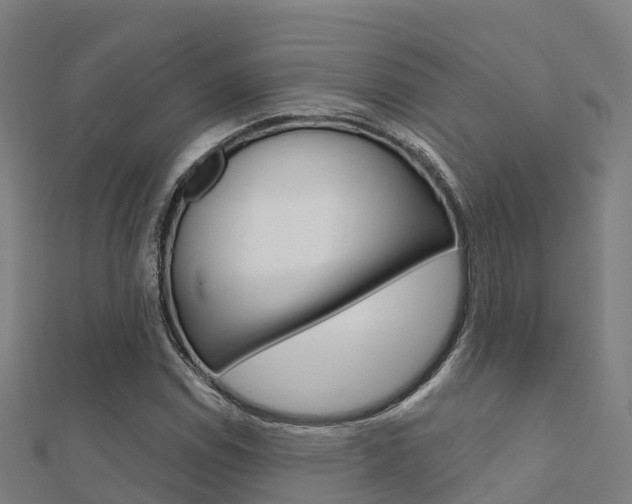 X0000112431114200908141105