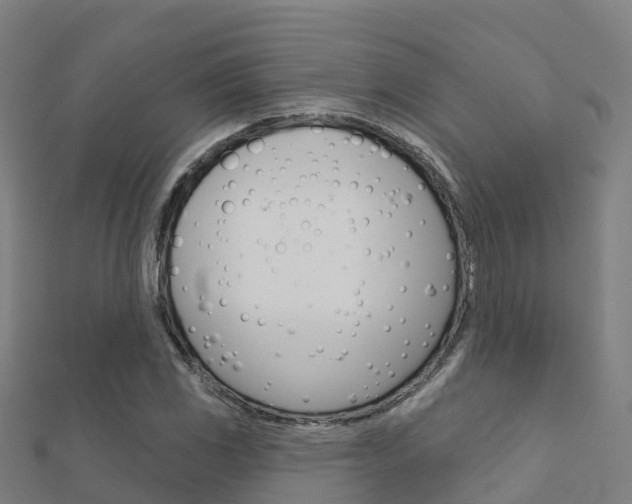 X0000112431117200908141105