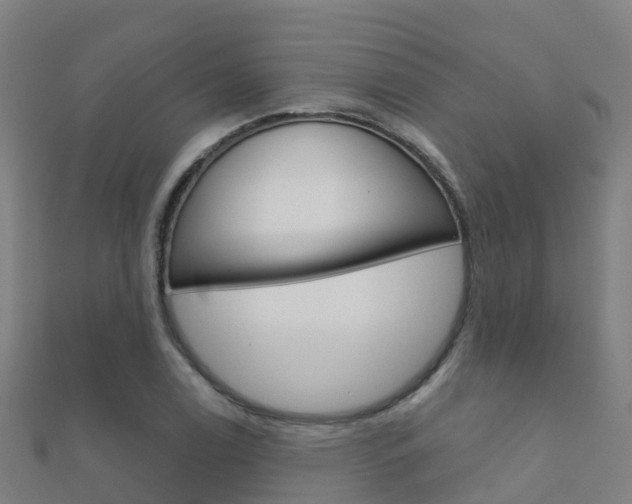X0000112431122200908141105