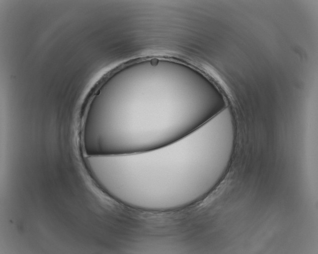 X0000112431124200908141105