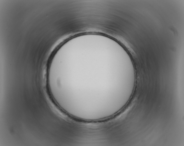 X0000112431126200908141105
