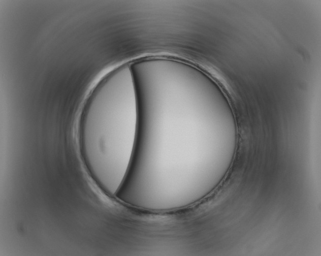X0000112431127200908141105