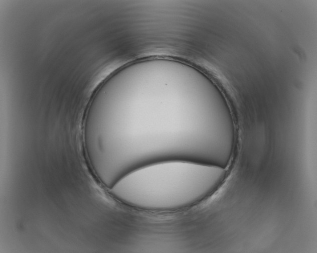 X0000112431129200908141105