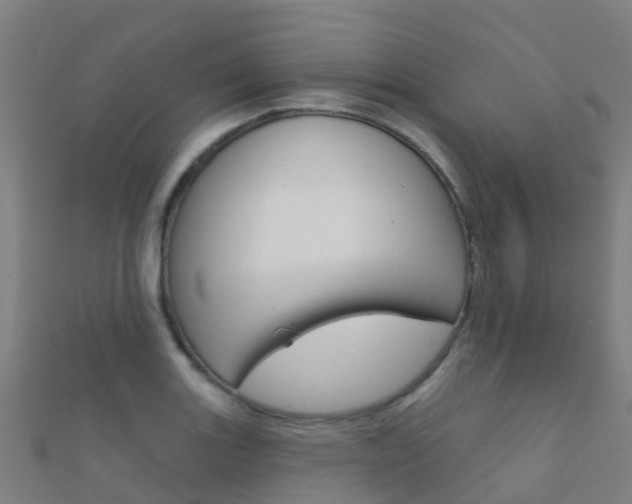 X0000112431131200908141105