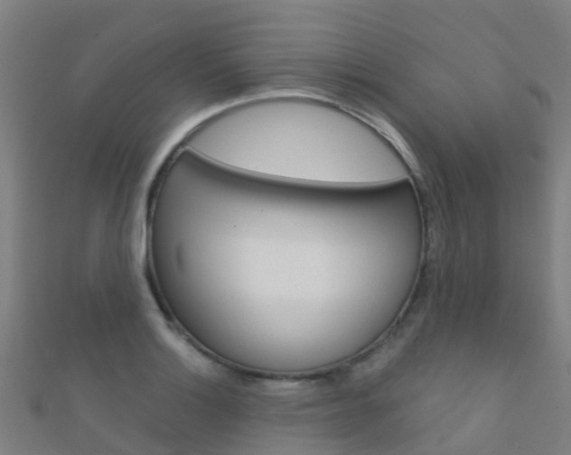 X0000112431132200908141105