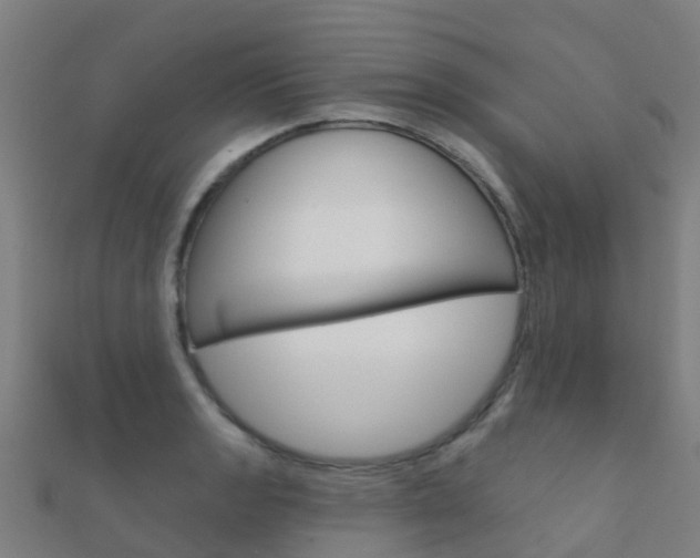 X0000112431133200908141105