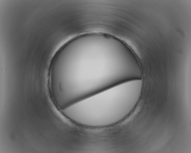 X0000112431134200908141105